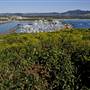 Coffs Harbour