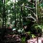 Coffs Harbour