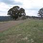 Coolah Tops National Park