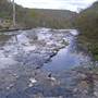 Coolah Tops National Park
