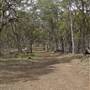 Coolah Tops National Park