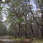 Coolah Tops National Park