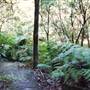 Cooper Park
