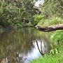 Cox's River at Duddawarra Bridge