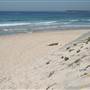 Cronulla Beach