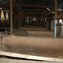 Crookwell Shearing Station