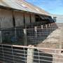 Crookwell Shearing Station