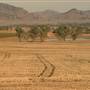 Crops/Farms - Central West