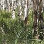 Crowdy Bay National Park