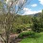 Crystal Creek Meadows