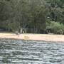 Currawong Beach Cottages