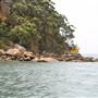 Currawong Beach Cottages