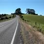 Dorrigo National Park