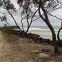 Evans Head