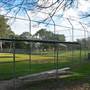 Northmead Reserve Baseball Fields