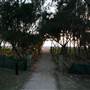 Pacific Bay Resort