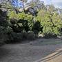 Shoalhaven Zoo