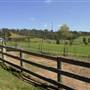 Calmsley Hill City Farm