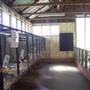 Calmsley Hill City Farm
