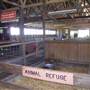 Calmsley Hill City Farm