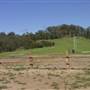 Calmsley Hill City Farm