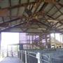 Calmsley Hill City Farm