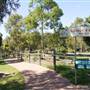 Calmsley Hill City Farm