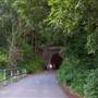 Fernleigh Track tunnel