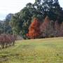 Morton National Park