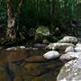 Flatrock, Gibsons Creek