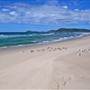 Forster and surrounds