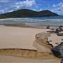 Forster and surrounds