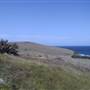 Gerroa
