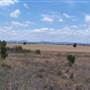 Gilgandra Rural Area