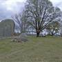 Glen Innes