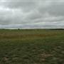 Goulburn Airport runway and exteriors