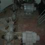 Goulburn Waterworks
