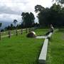 Griffiths Lookout, Dorrigo