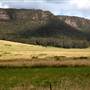 Hartley, Ambermere Drive 2012