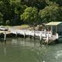 Hawkesbury River