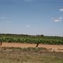 Hay - Rural Town in NSW