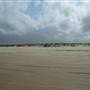 Killick Beach & Sand Dunes - Hat Head National Park