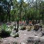 Hunter Region