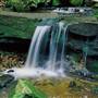 Hunter Region