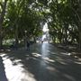 Hyde Park