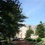 ICMS - International College of Management, Sydney