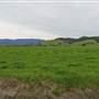 Jamberoo - Swamp & Jamberoo Roads