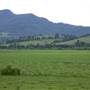 Jamberoo - Swamp & Jamberoo Roads