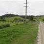 Jamberoo Browns Lane