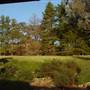 Japanese Gardens Cowra